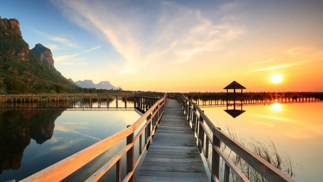 米乐m6官网登录入口中国女性室内健身操第五套