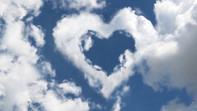 米乐乒乓球台的长度为几米