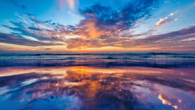 米乐集团乒乓球台有哪些角色名称